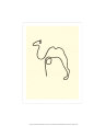The Camel Picasso